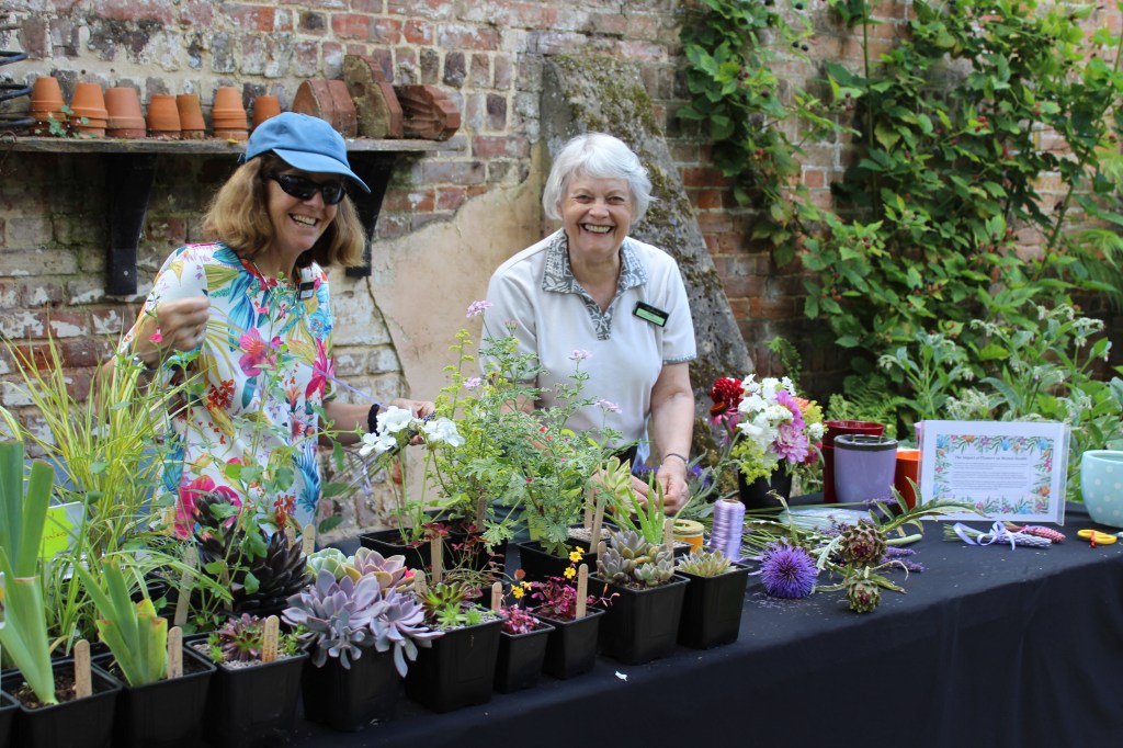 Green Care Festival &&nbsp;Showcase