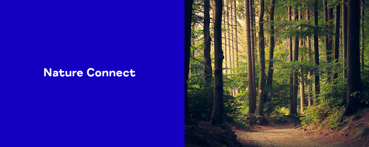 Urban Forest Bathing (a mindful stroll)