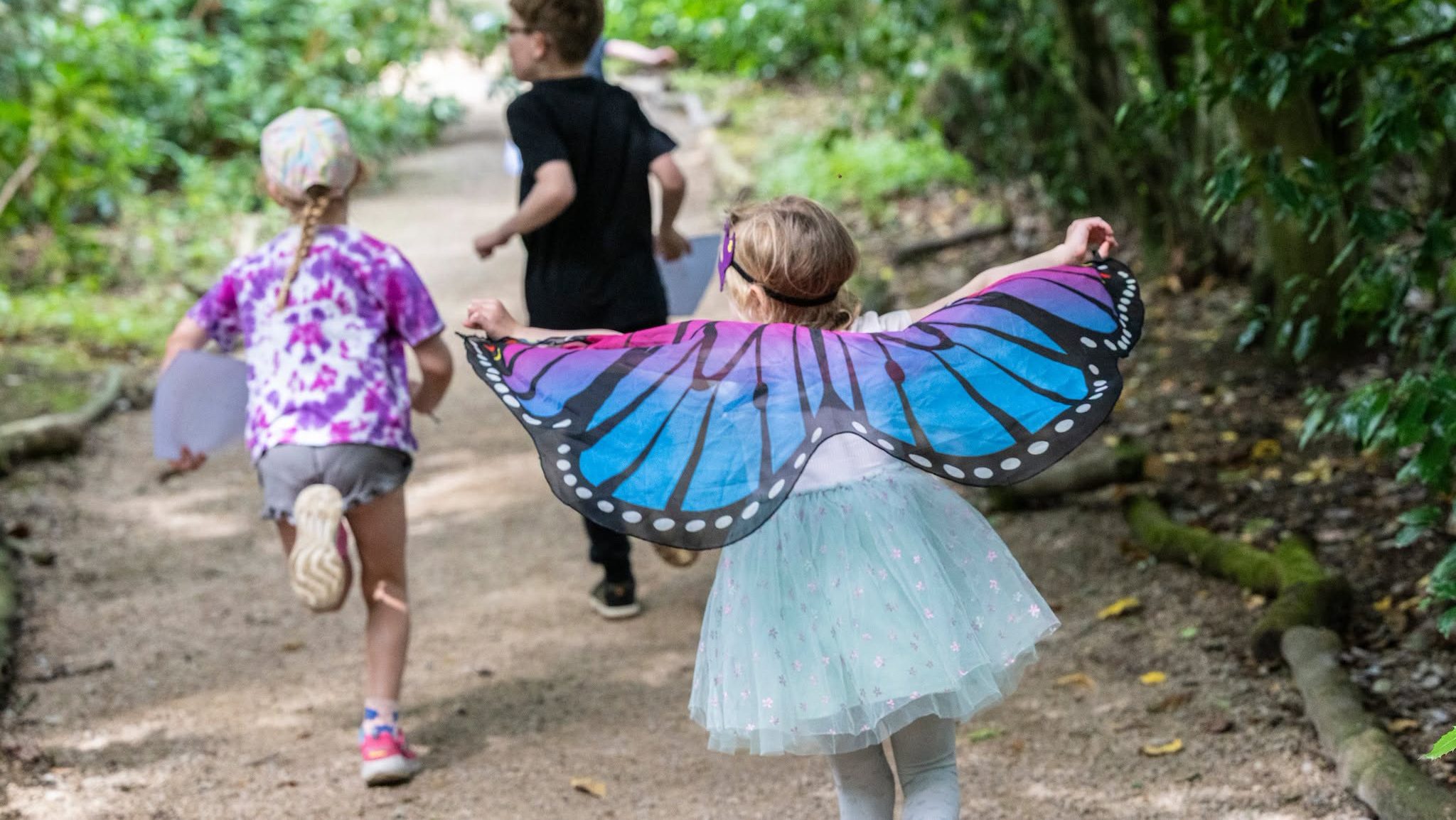 Mini-beast safari Summer of Play at Blickling Estate.