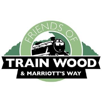 train wood